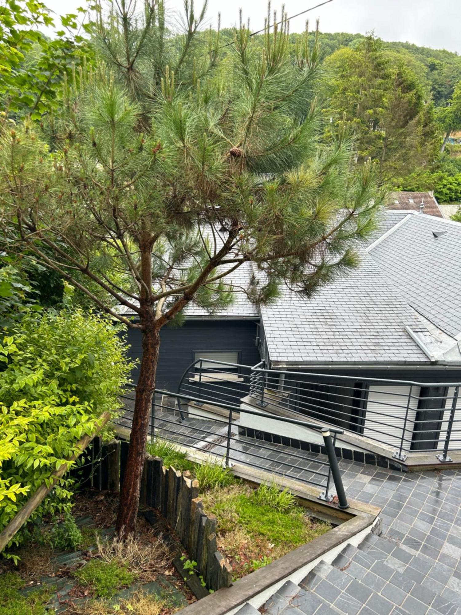 Villa Des Chardons Yport Kültér fotó